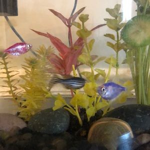 Meet your Posher, August